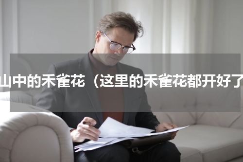 深山中的禾雀花（这里的禾雀花都开好了）