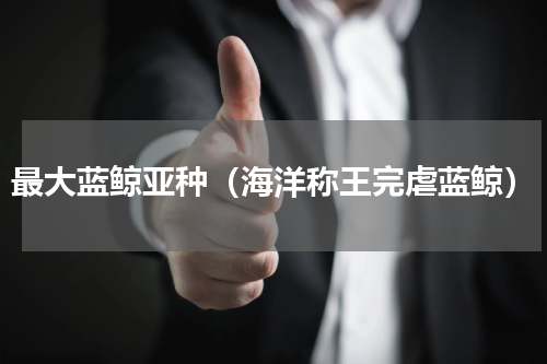 最大蓝鲸亚种（海洋称王完虐蓝鲸）