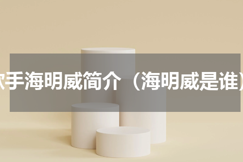 歌手海明威简介（海明威是谁）