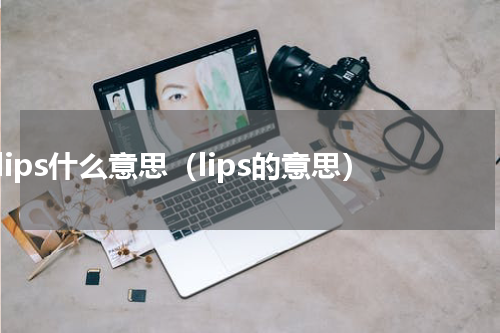 lips什么意思（lips的意思）