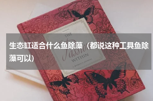生态缸适合什么鱼除藻（都说这种工具鱼除藻可以）