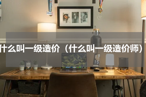 什么叫一级造价（什么叫一级造价师）