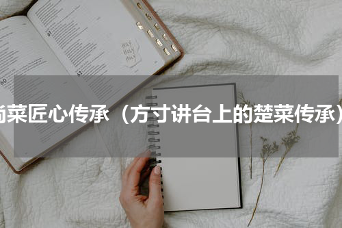 尚菜匠心传承（方寸讲台上的楚菜传承）