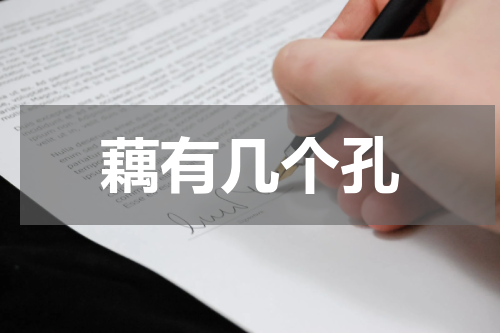 藕有几个孔