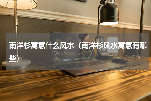 南洋杉寓意什么风水（南洋杉风水寓意有哪些）