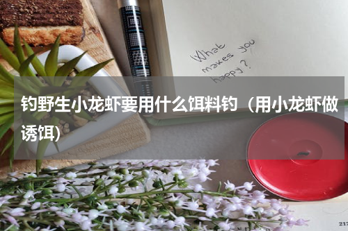 钓野生小龙虾要用什么饵料钓（用小龙虾做诱饵）