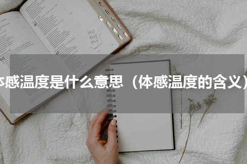 体感温度是什么意思（体感温度的含义）