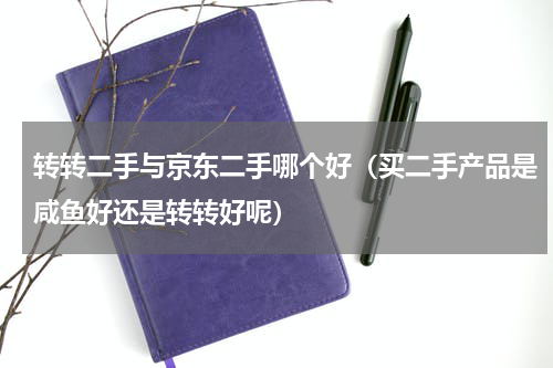转转二手与京东二手哪个好（买二手产品是咸鱼好还是转转好呢）