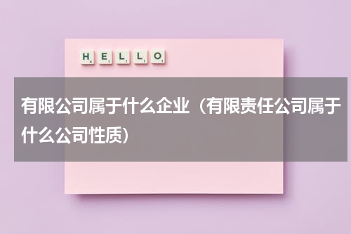 有限公司属于什么企业（有限责任公司属于什么公司性质）