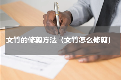 文竹的修剪方法（文竹怎么修剪）