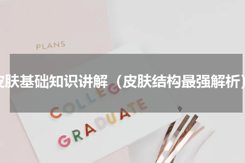 皮肤基础知识讲解（皮肤结构最强解析）