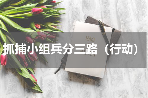 抓捕小组兵分三路（行动）