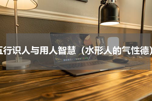 五行识人与用人智慧（水形人的气性德）