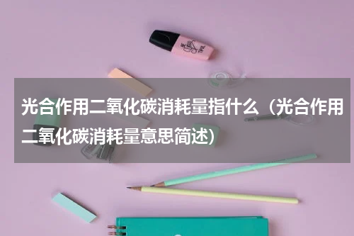 光合作用二氧化碳消耗量指什么（光合作用二氧化碳消耗量意思简述）