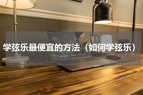 学弦乐最便宜的方法（如何学弦乐）