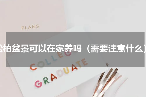 松柏盆景可以在家养吗（需要注意什么）