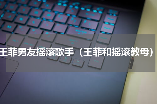 王菲男友摇滚歌手（王菲和摇滚教母）
