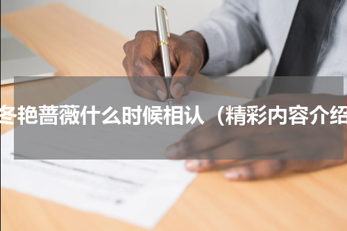 忍冬艳蔷薇什么时候相认（精彩内容介绍）