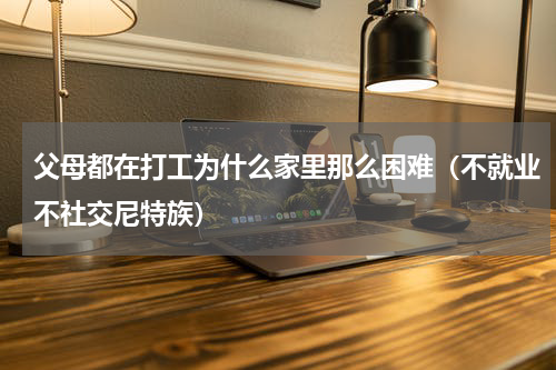 父母都在打工为什么家里那么困难（不就业不社交尼特族）