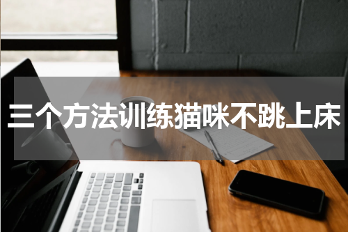 三个方法训练猫咪不跳上床