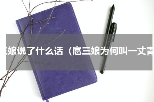 扈三娘说了什么话（扈三娘为何叫一丈青）