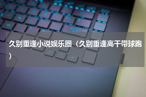 久别重逢小说娱乐圈（久别重逢高干带球跑）