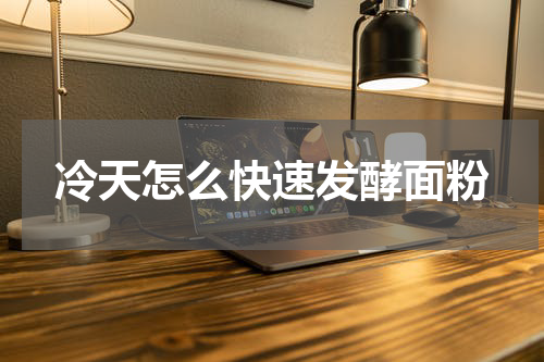 冷天怎么快速发酵面粉