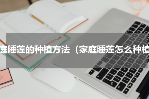 家庭睡莲的种植方法（家庭睡莲怎么种植）