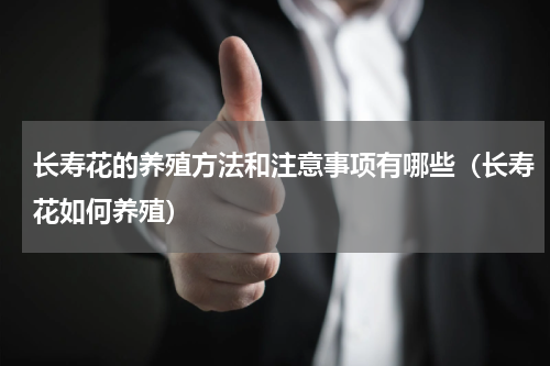 长寿花的养殖方法和注意事项有哪些（长寿花如何养殖）