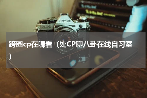 跨圈cp在哪看（处CP聊八卦在线自习室）