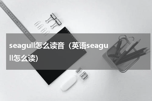 seagull怎么读音（英语seagull怎么读）