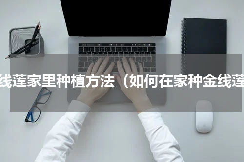 金线莲家里种植方法（如何在家种金线莲）
