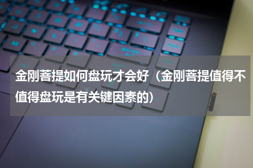 金刚菩提如何盘玩才会好（金刚菩提值得不值得盘玩是有关键因素的）