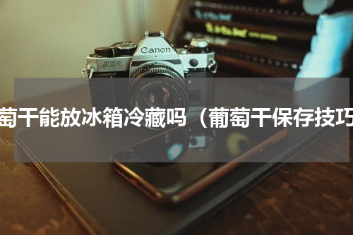 葡萄干能放冰箱冷藏吗（葡萄干保存技巧）