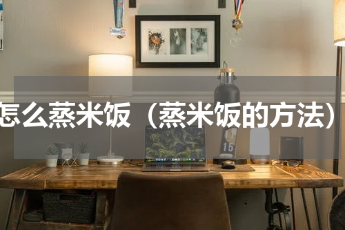 怎么蒸米饭（蒸米饭的方法）