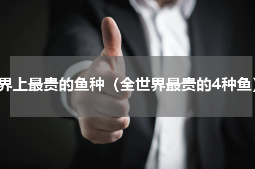 世界上最贵的鱼种（全世界最贵的4种鱼）
