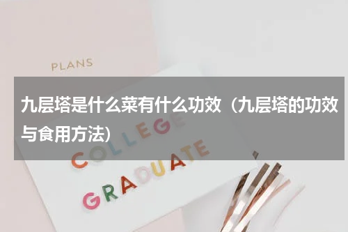 九层塔是什么菜有什么功效（九层塔的功效与食用方法）