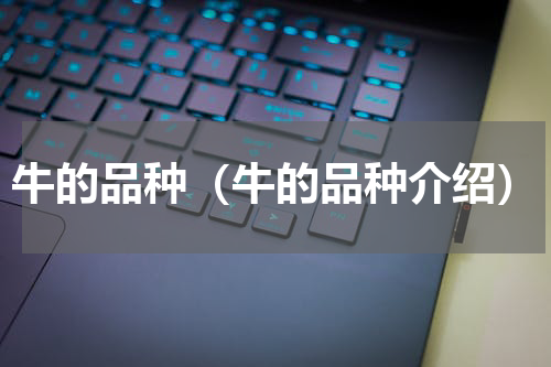 牛的品种（牛的品种介绍）