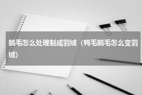鹅毛怎么处理制成羽绒（鸭毛鹅毛怎么变羽绒）