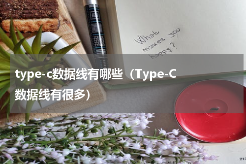 type-c数据线有哪些（Type-C数据线有很多）