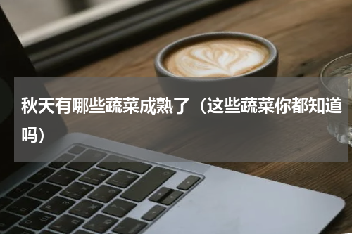 秋天有哪些蔬菜成熟了（这些蔬菜你都知道吗）
