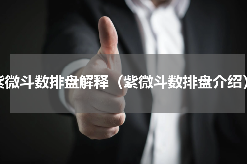 紫微斗数排盘解释（紫微斗数排盘介绍）