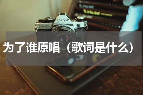 为了谁原唱（歌词是什么）