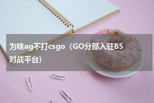 为啥ag不打csgo（GO分部入驻B5对战平台）