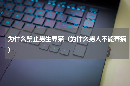 为什么禁止男生养猫（为什么男人不能养猫）