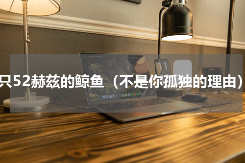 一只52赫兹的鲸鱼（不是你孤独的理由）