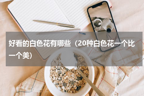 好看的白色花有哪些（20种白色花一个比一个美）