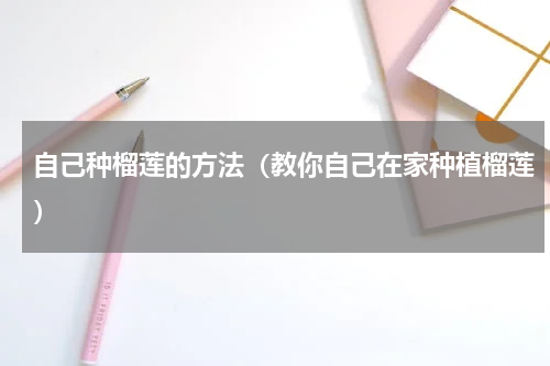 自己种榴莲的方法（教你自己在家种植榴莲）