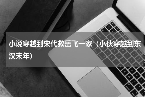 小说穿越到宋代救岳飞一家（小伙穿越到东汉末年）