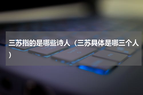 三苏指的是哪些诗人（三苏具体是哪三个人）